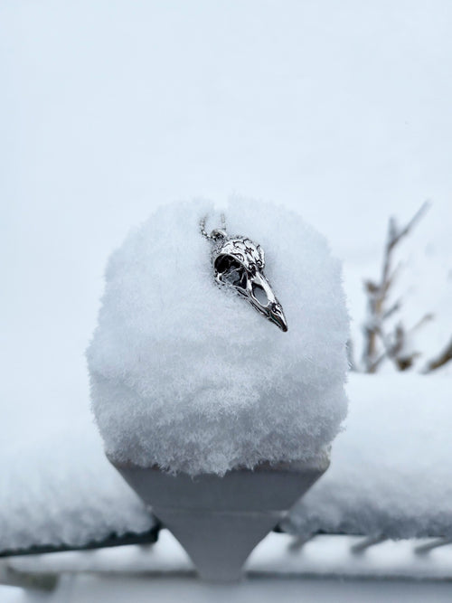 Gothic Raven Skull Pendant